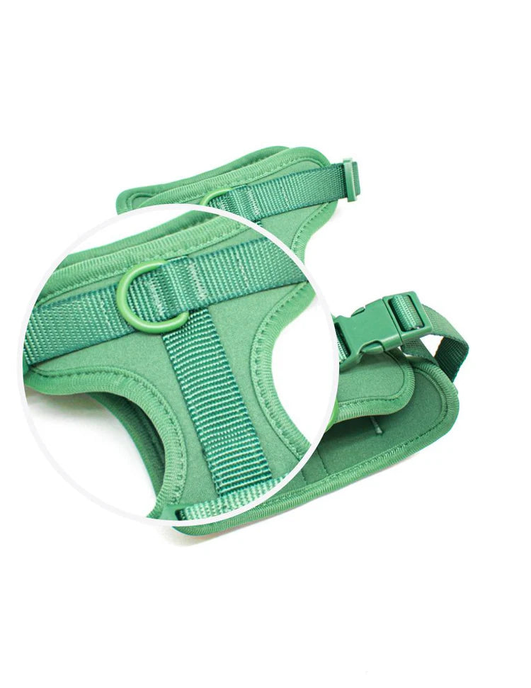 Walk Kit For Lovely Pet