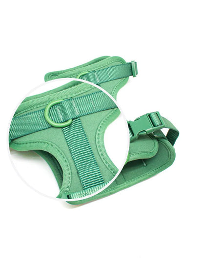 Walk Kit For Lovely Pet