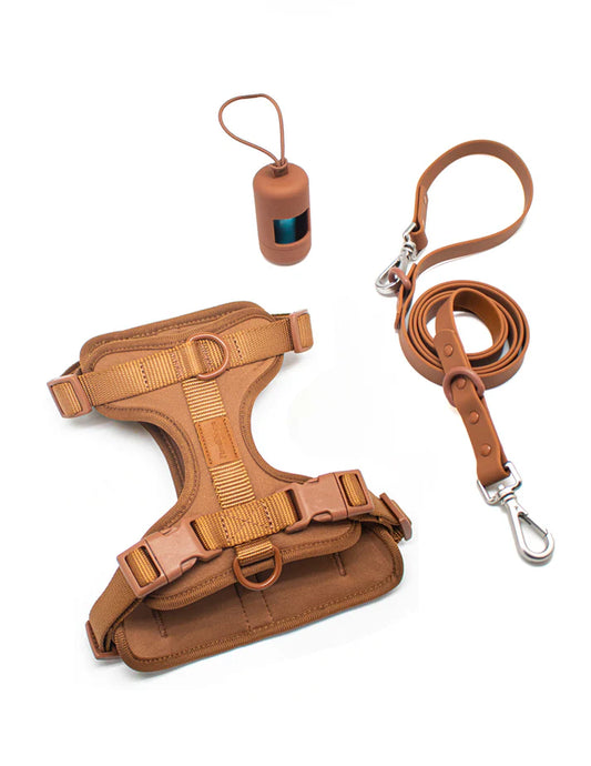 Walk Kit For Lovely Pet