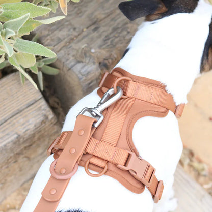 Walk Kit For Lovely Pet