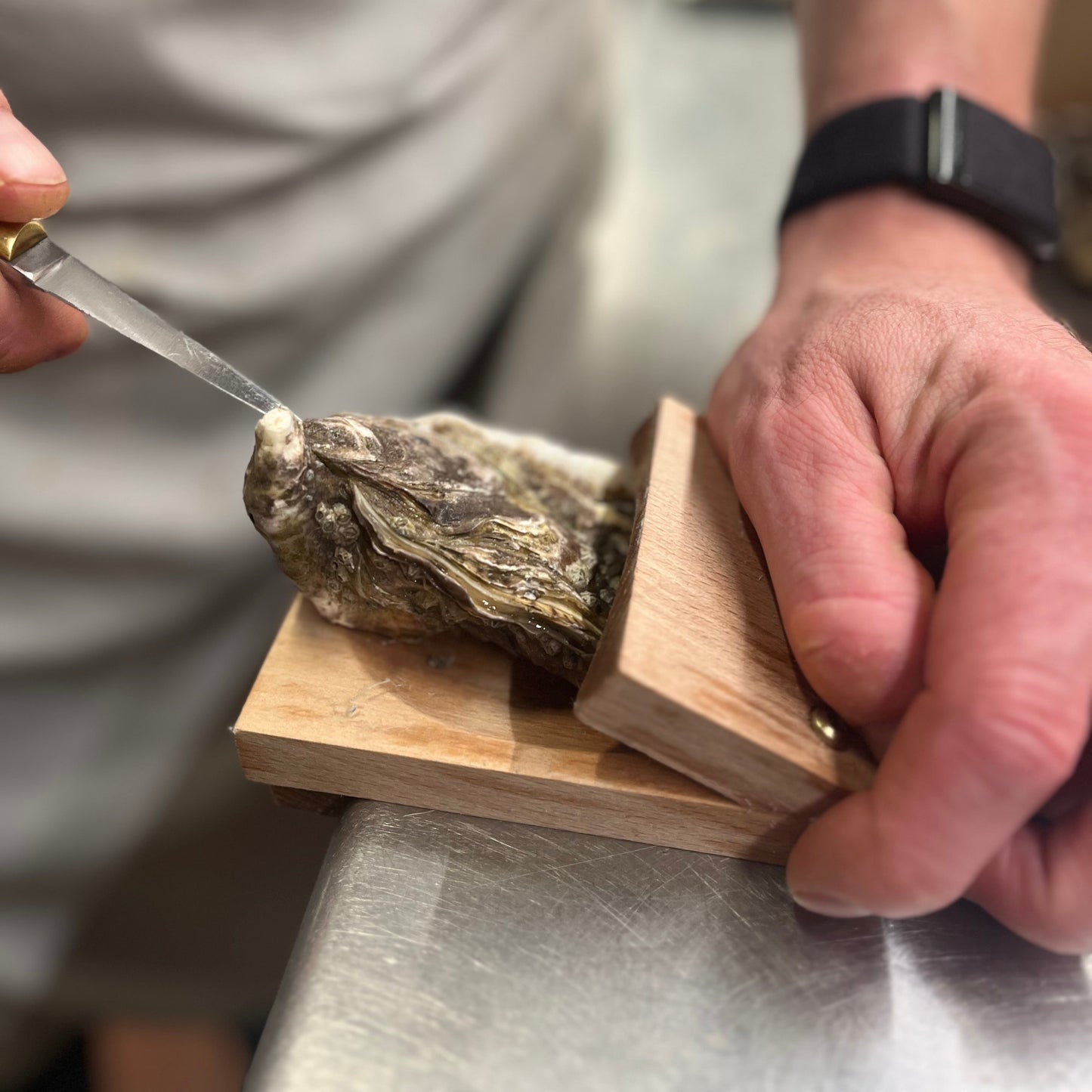 OysterEase™ - Oyster clamp 2.0