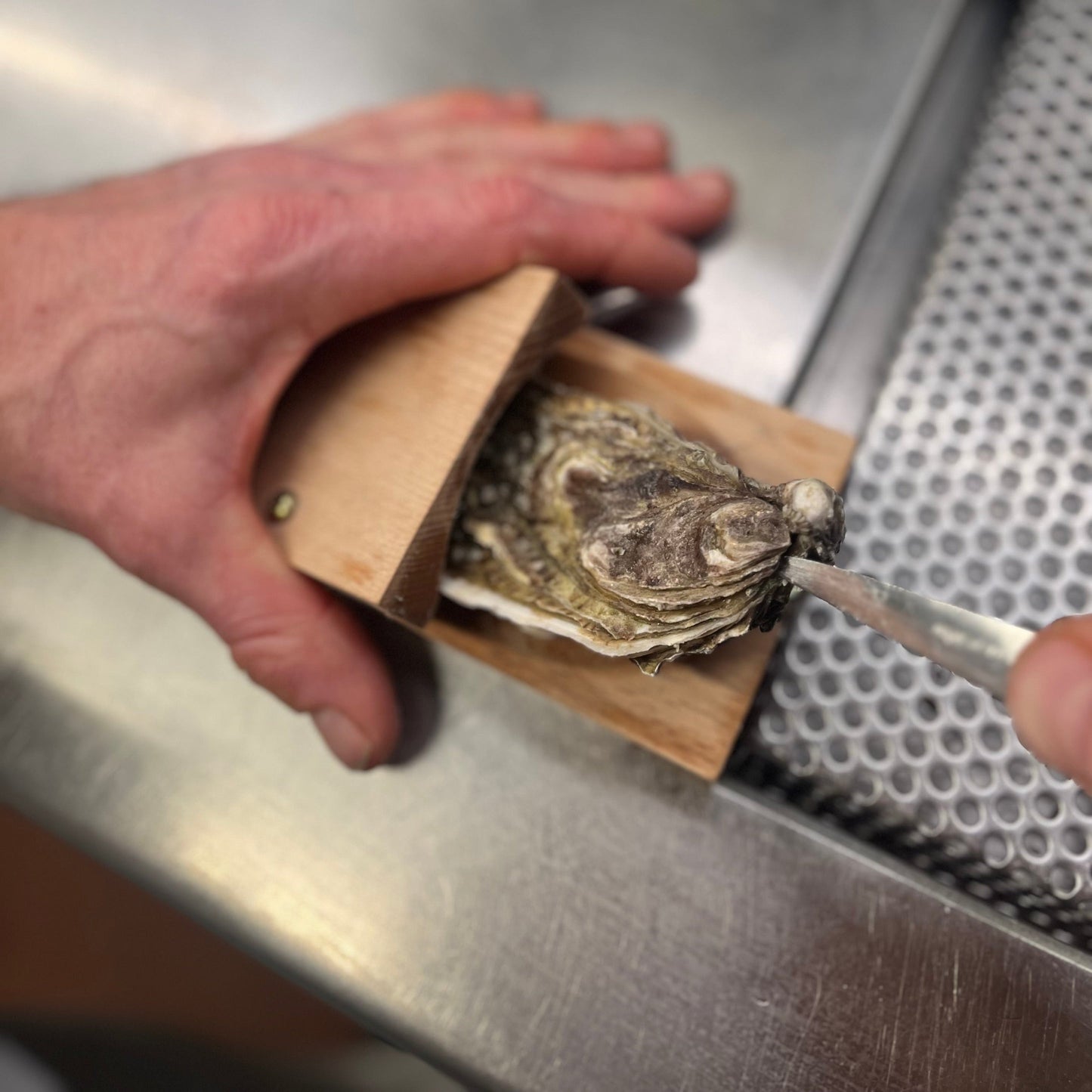 OysterEase™ - Oyster clamp 2.0